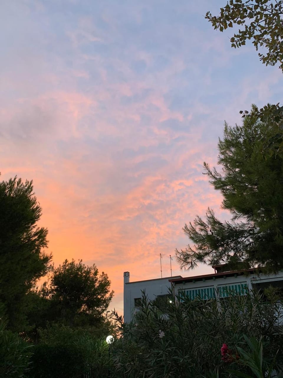 Garden, Sunset
