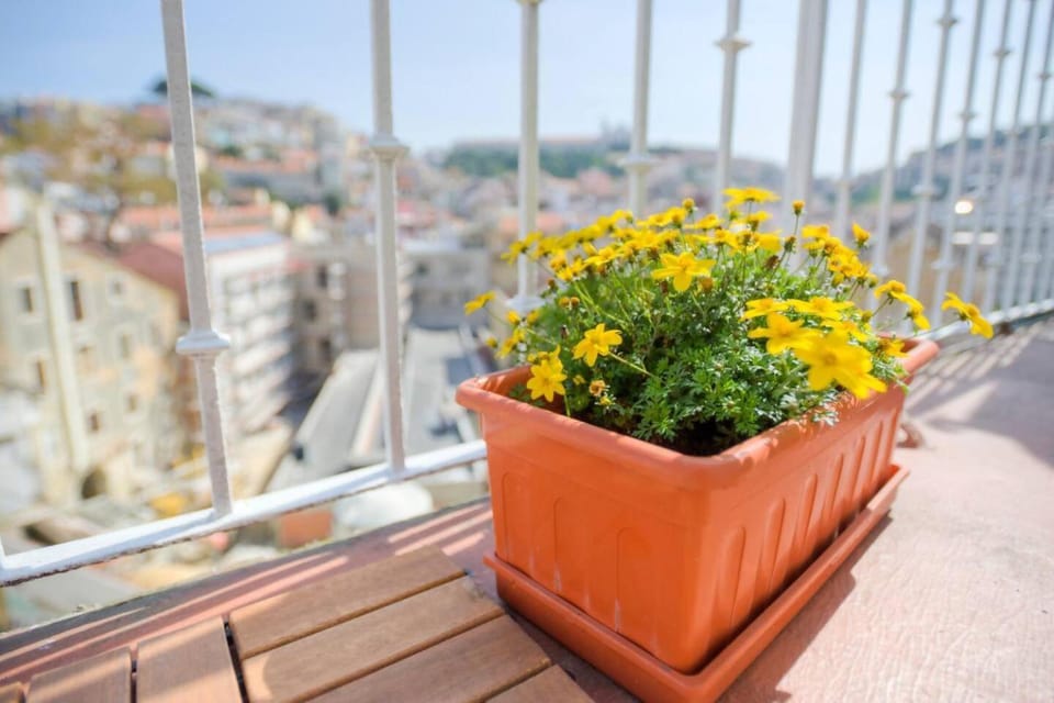 View (from property/room), Balcony/Terrace, City view