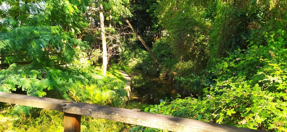Natural landscape