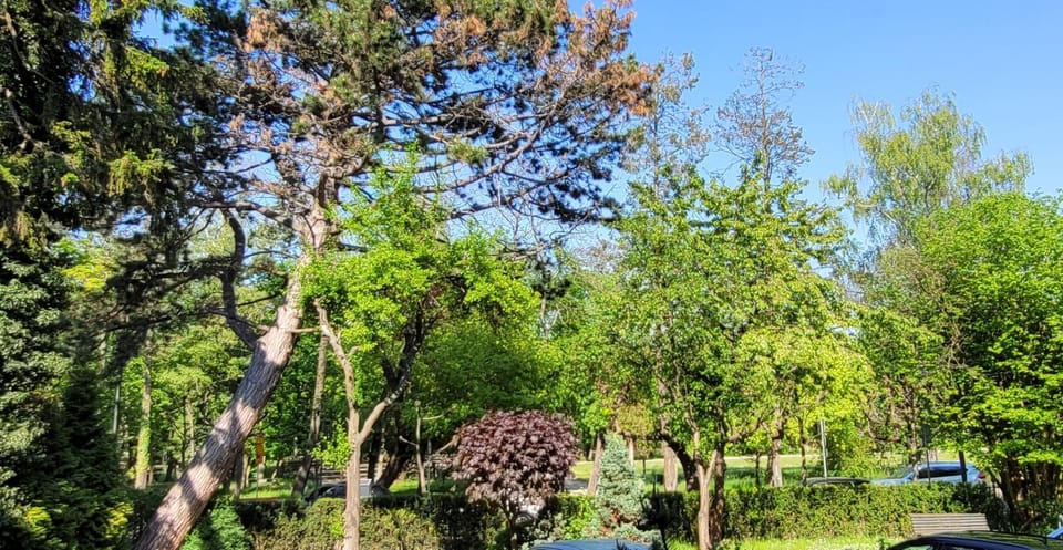 View (from property/room), Garden view, Quiet street view, Inner courtyard view