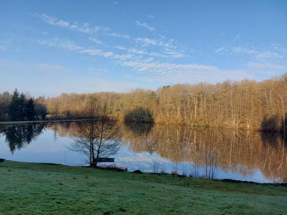 Lake view