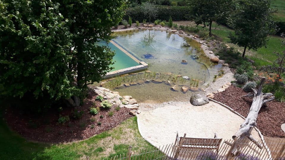 Pool view, Swimming pool