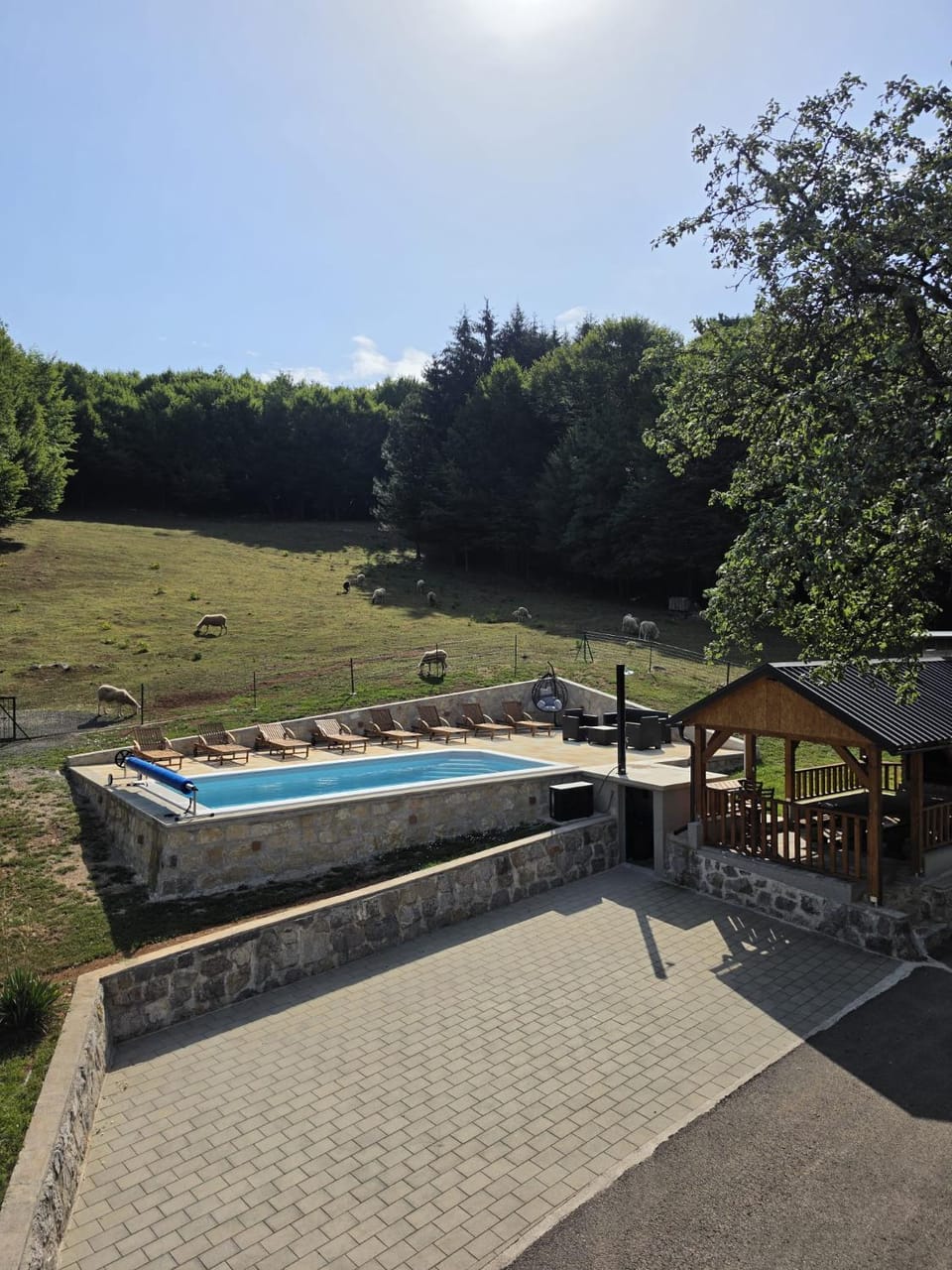 Day, Natural landscape, Pool view, Swimming pool, sunbed