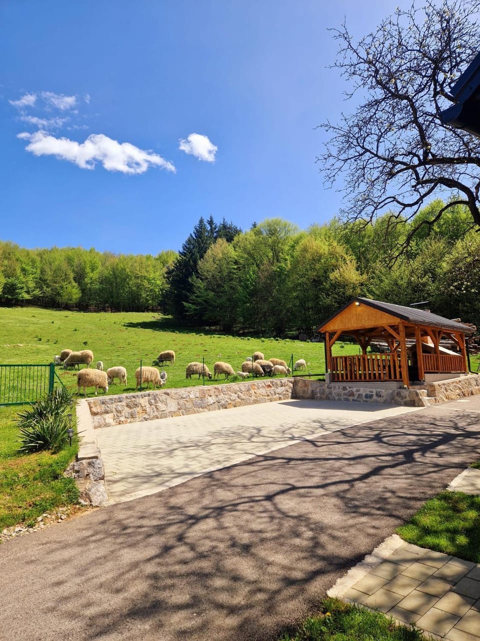 Natural landscape, Balcony/Terrace, Parking