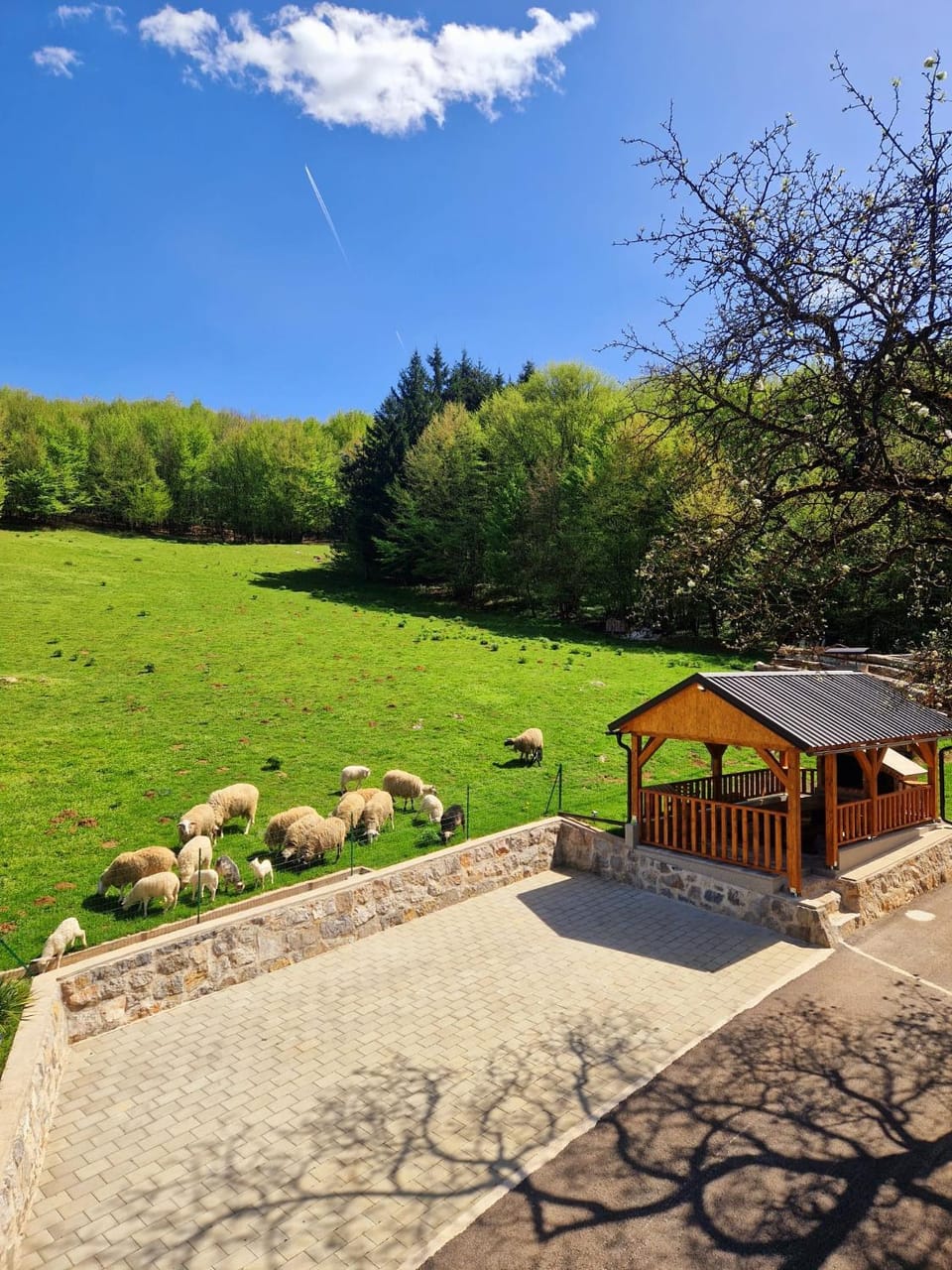 Property building, Natural landscape, Balcony/Terrace, Parking