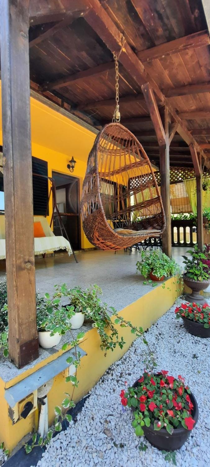 Kuca Ribarev san House in Novi Sad