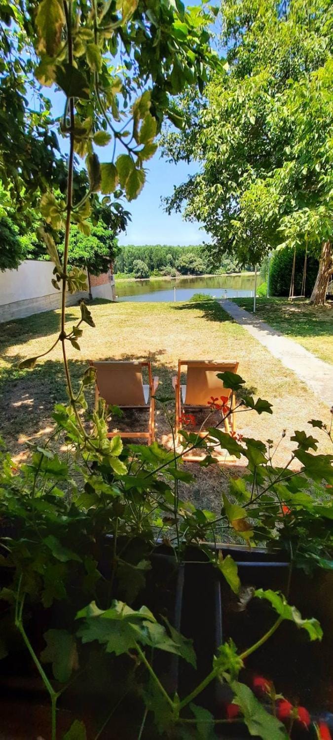 Kuca Ribarev san House in Novi Sad