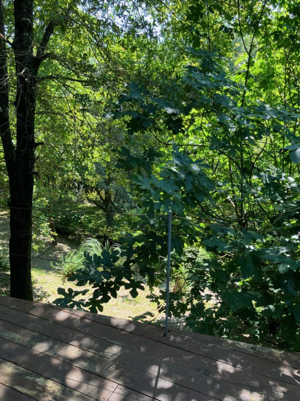 CASA RIO VEZ - Riverfront Campground/ 
RV Resort in Viana do Castelo District, Portugal