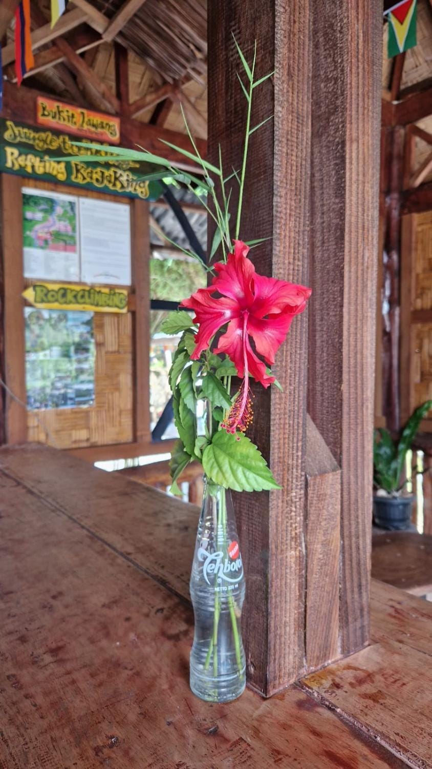 Enter Point Bed and Breakfast in Indonesia