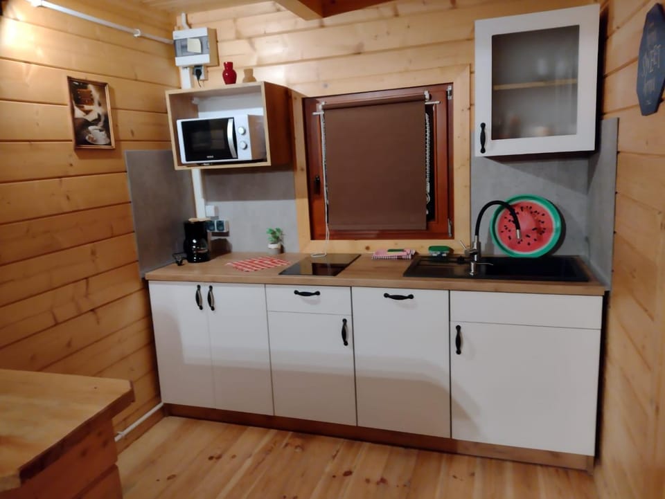 Kitchen or kitchenette, minibar, stove