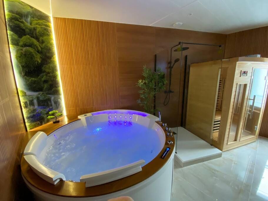 Esprit BALI ....LOVE SPA, Sauna de luxe à Mulhouse Apartment in Mulhouse