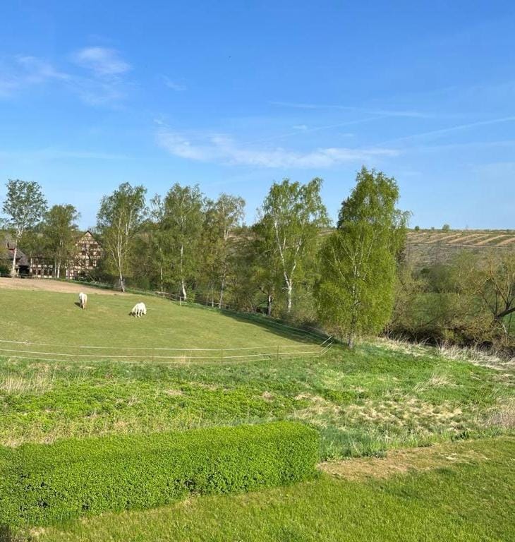 Day, Natural landscape, View (from property/room)