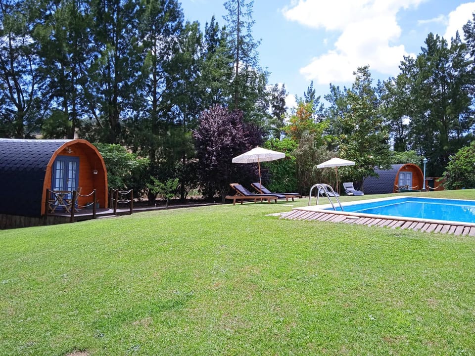 Spring, Day, Natural landscape, Garden, Garden view, Pool view, Swimming pool, sunbed