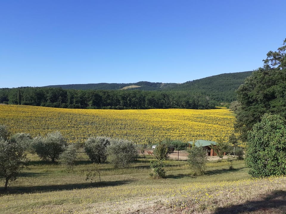 View (from property/room), Garden view, Landmark view