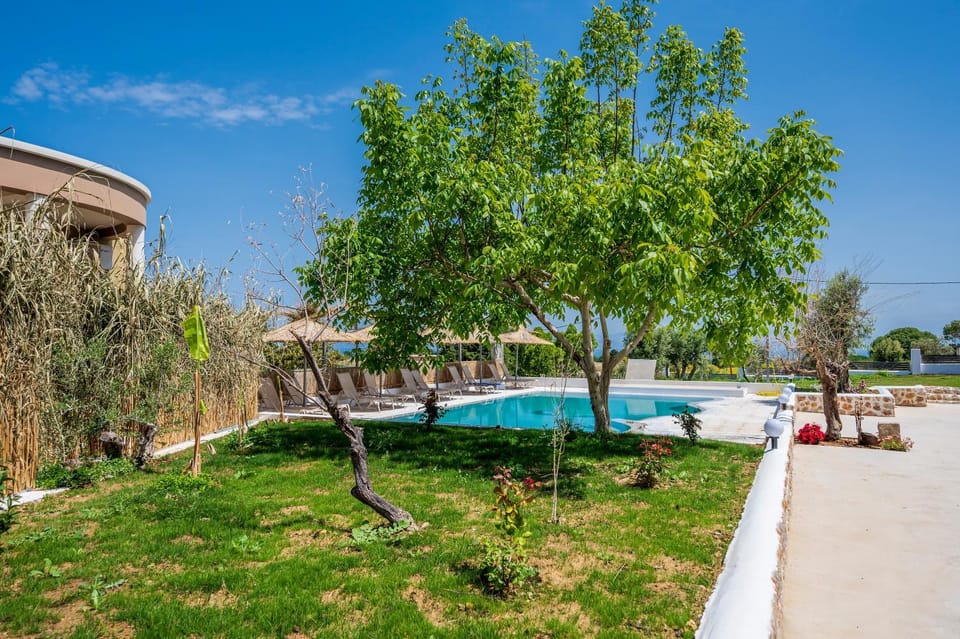 Inner courtyard view