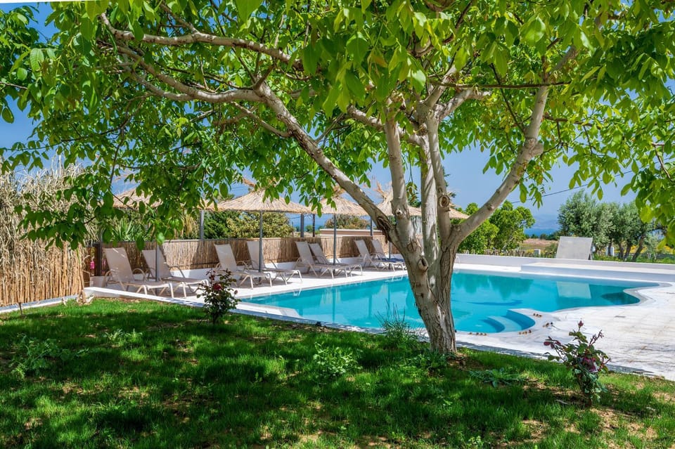 Inner courtyard view