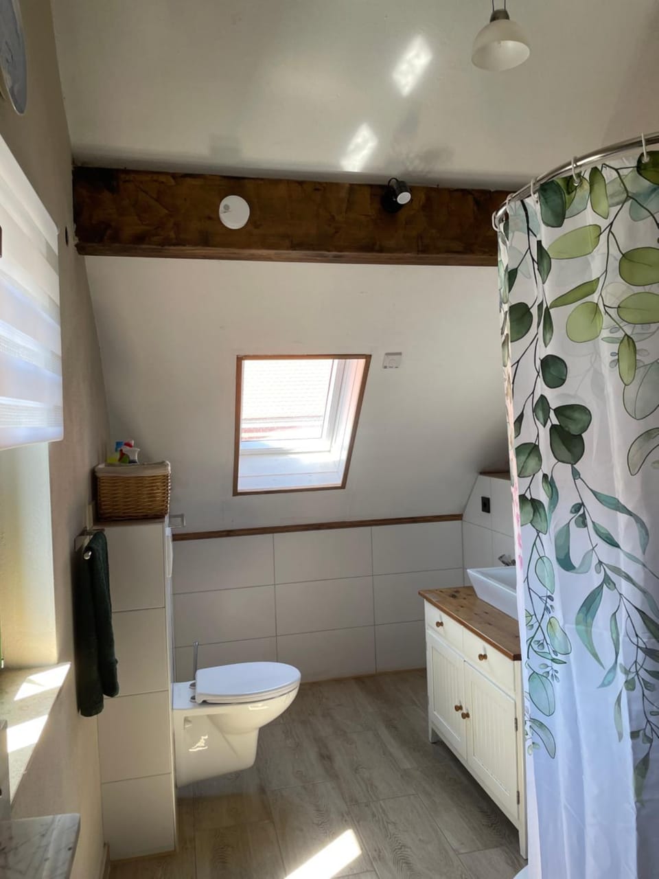 Toilet, Bathroom
