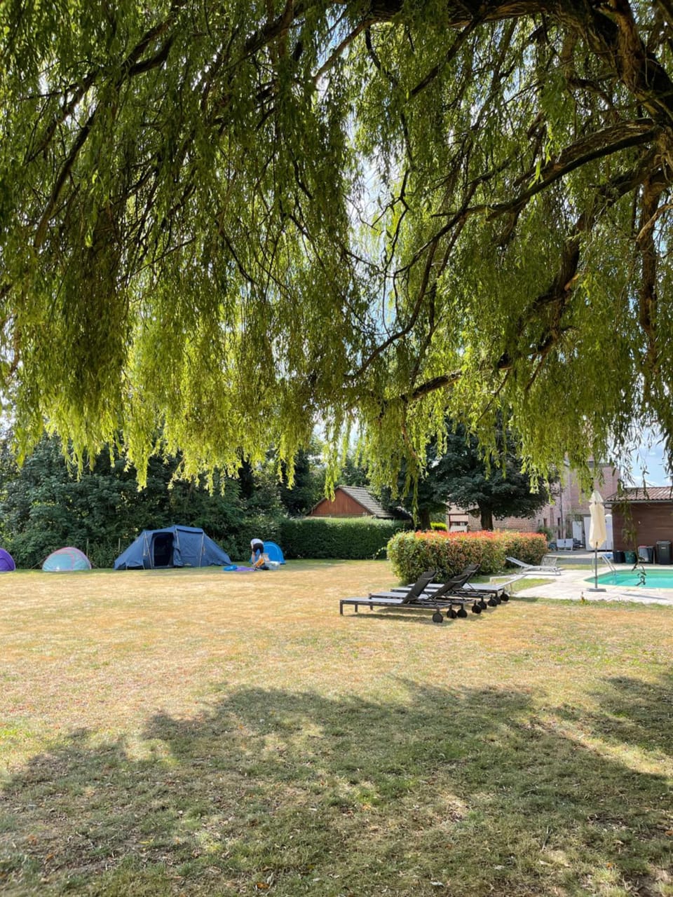 Tents @ Tomorrowland Campground/ 
RV Resort in Flanders