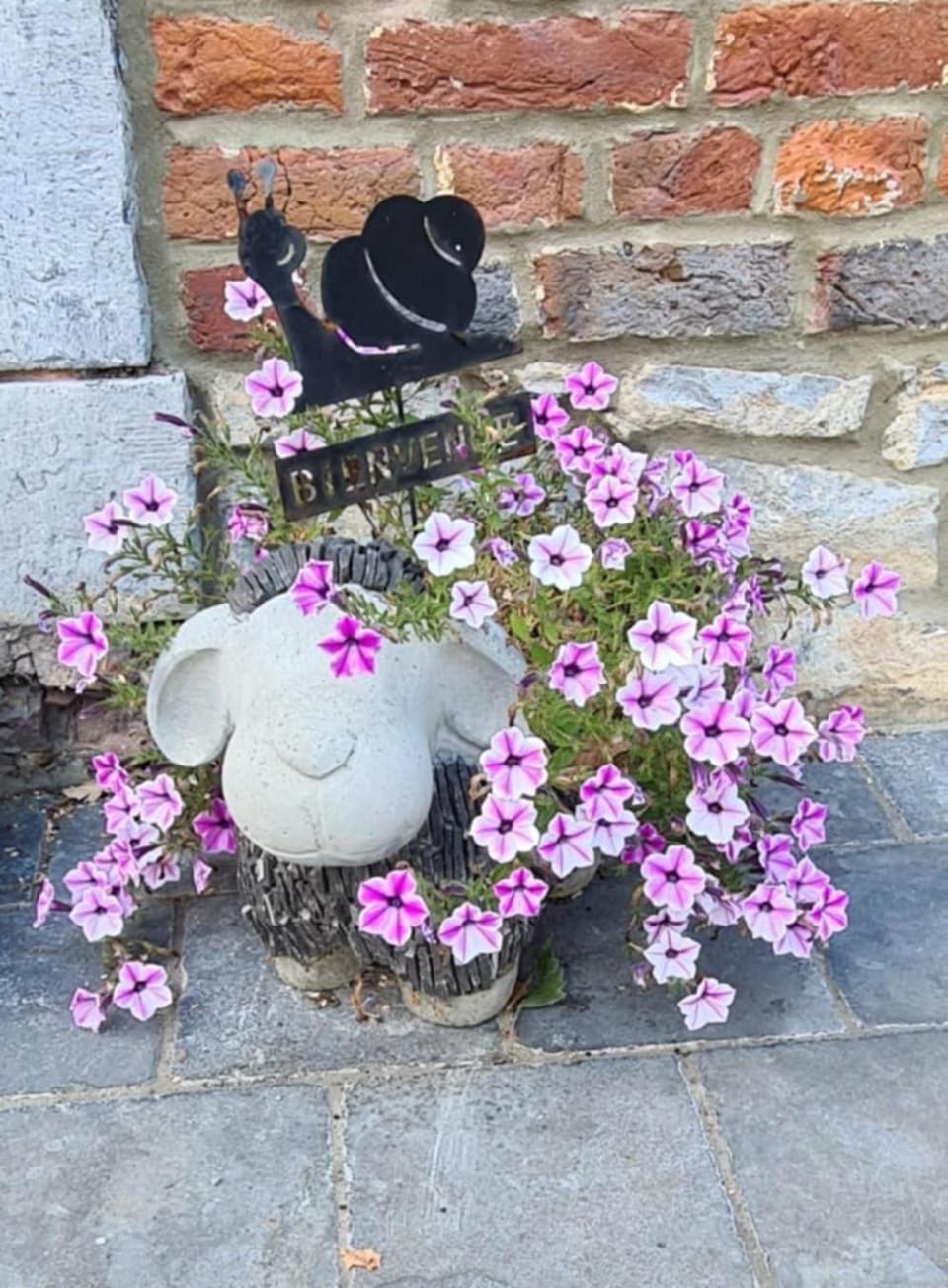 Gîte La Malavisée House in Wallonia, Belgium