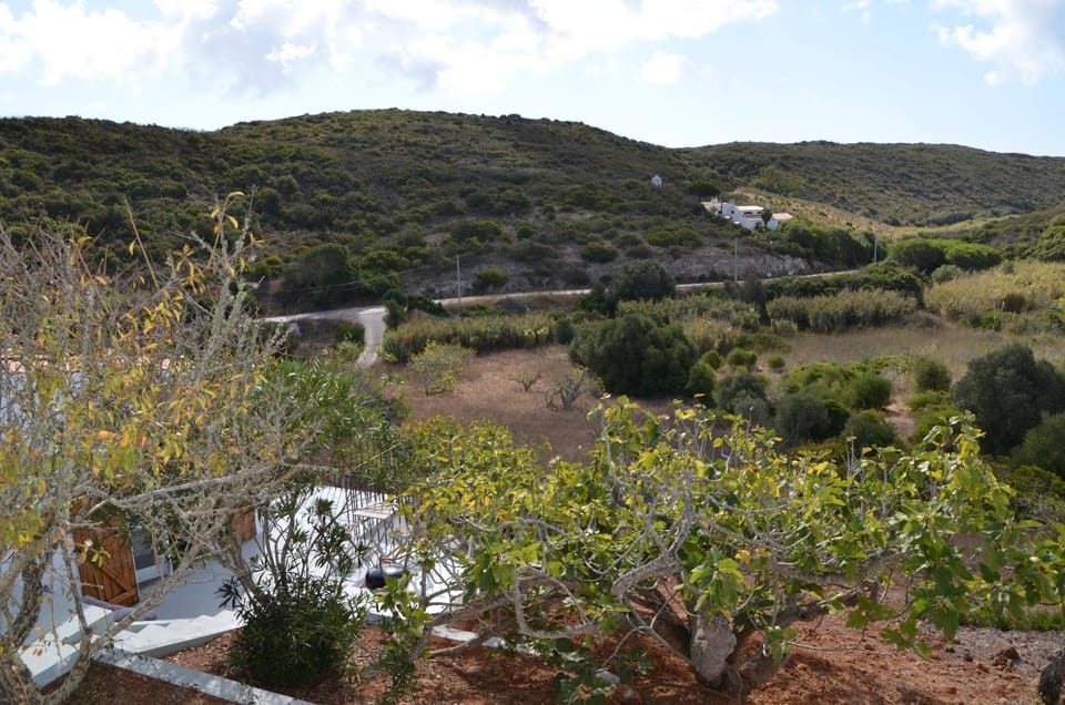 Garden, View (from property/room)