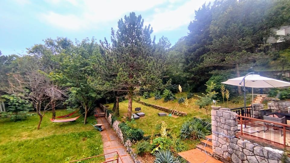 Garden, Balcony/Terrace