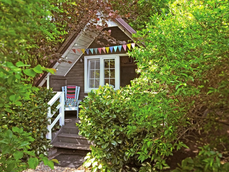 Property building, Day, Garden