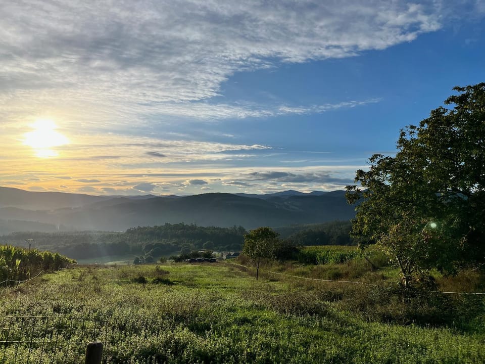 Garden view, Garden view
