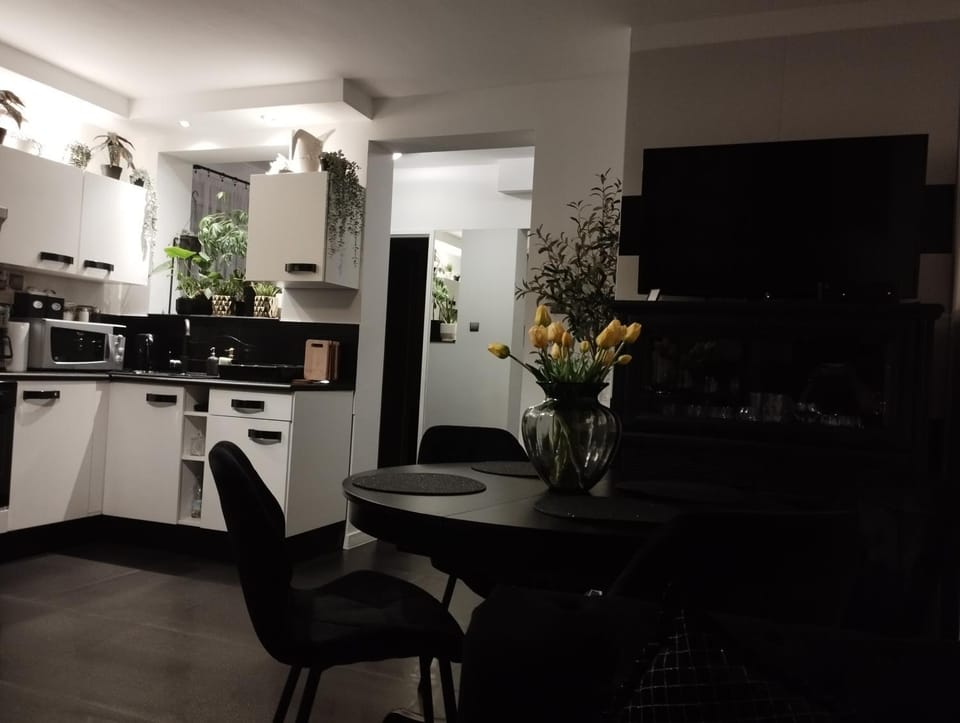 Kitchen or kitchenette, Dining area, minibar, pet friendly, stove