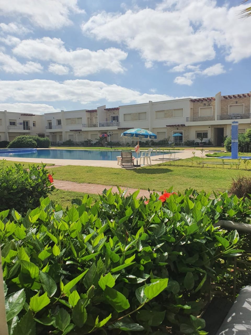 Garden view