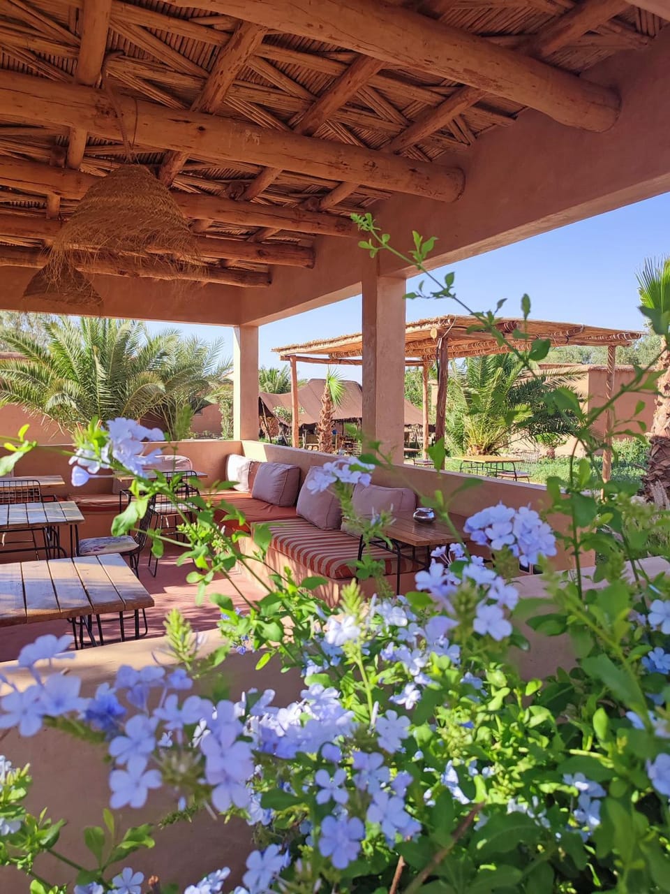 Patio, Garden
