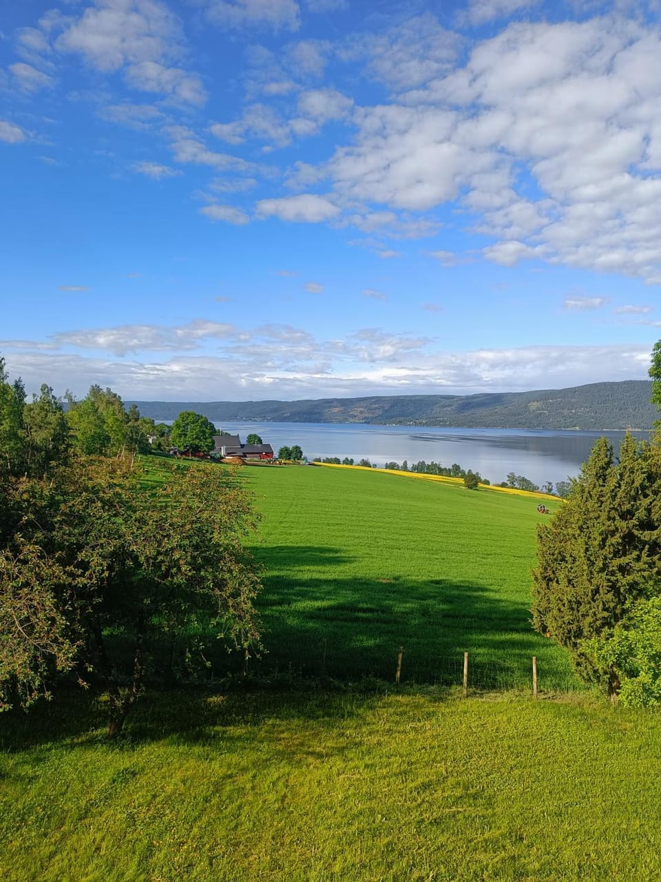 Day, Lake view