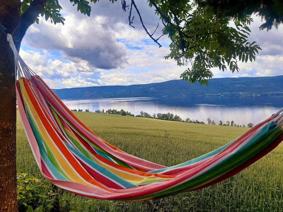 Nearby landmark, Spring, Day, Natural landscape, Lake view