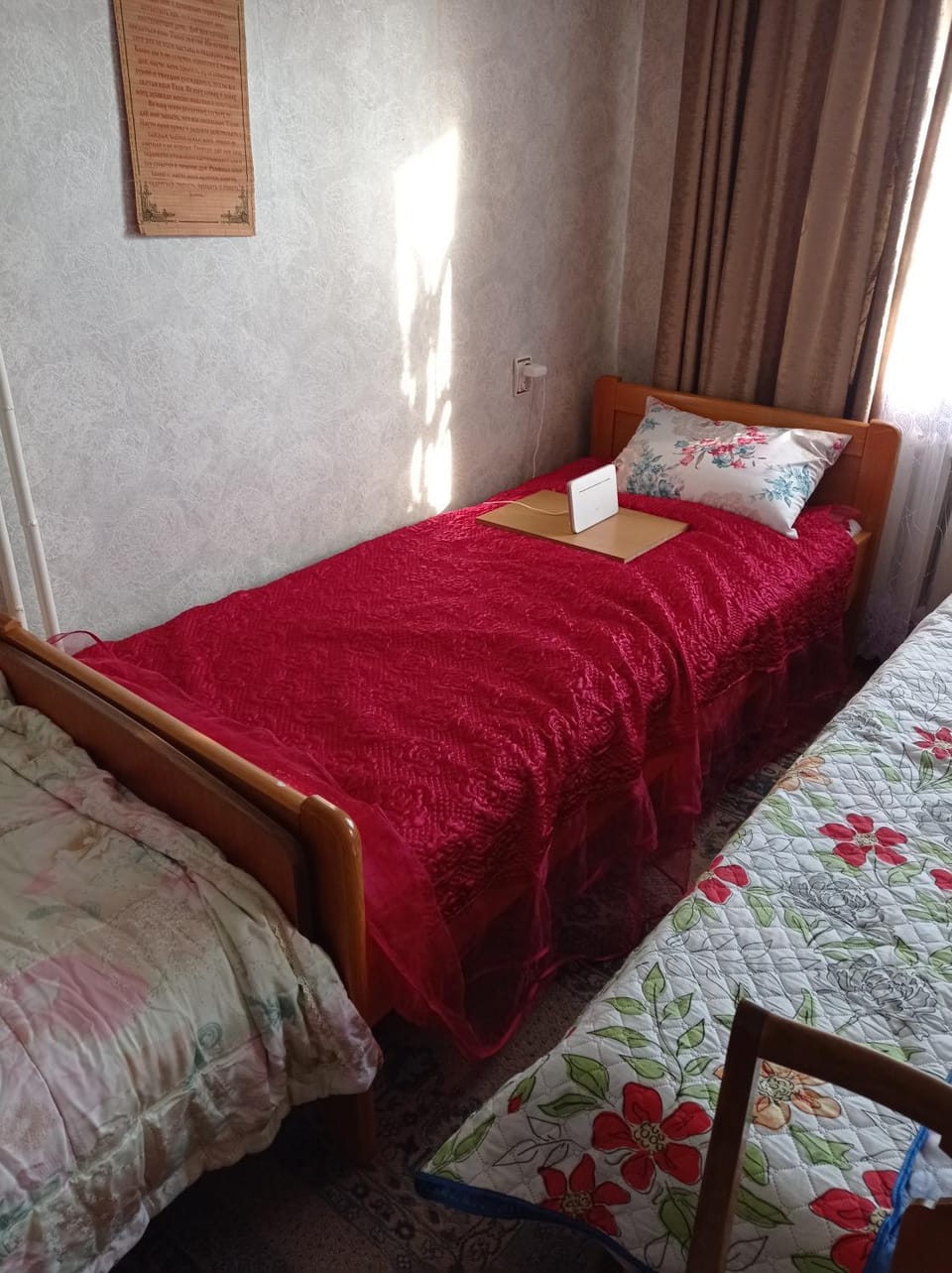 Bed
