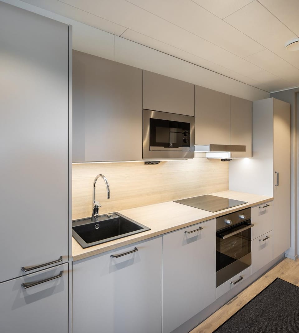 Levin Kunkku B1 Apartment in Lapland