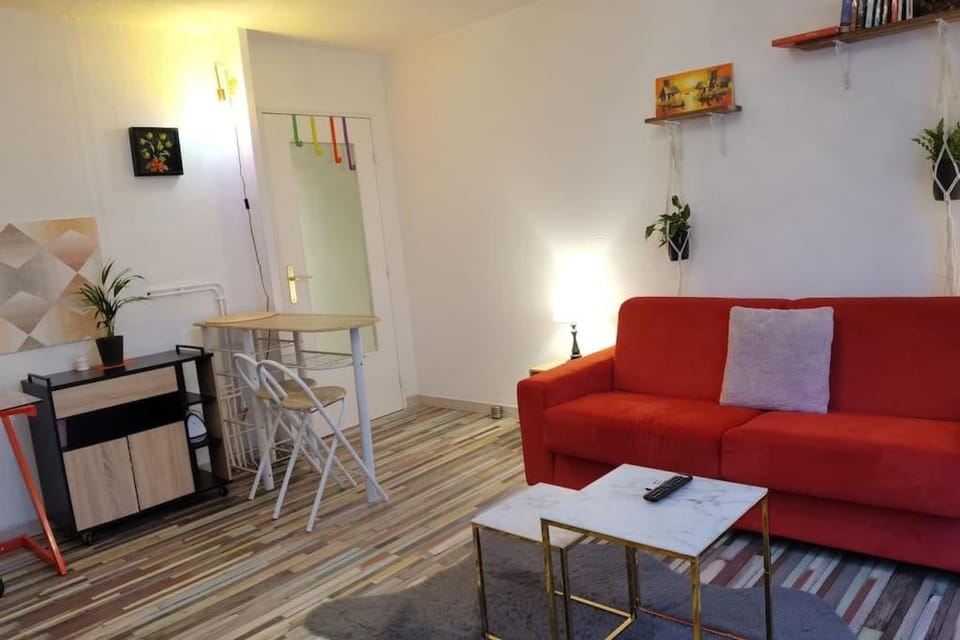Cosy T1bis proche CentreVille, Petit Port, Audencia Apartment in Nantes