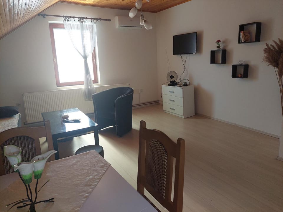 Djokić 2 sa bazenom Apartment in Serbia