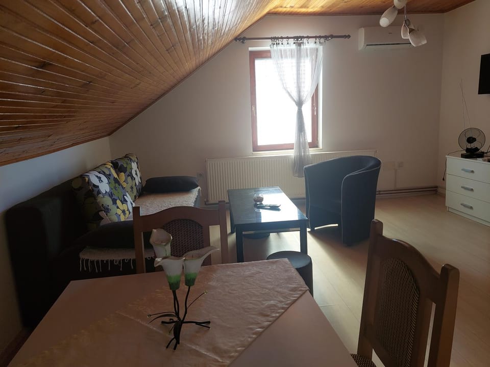 Djokić 2 sa bazenom Apartment in Serbia