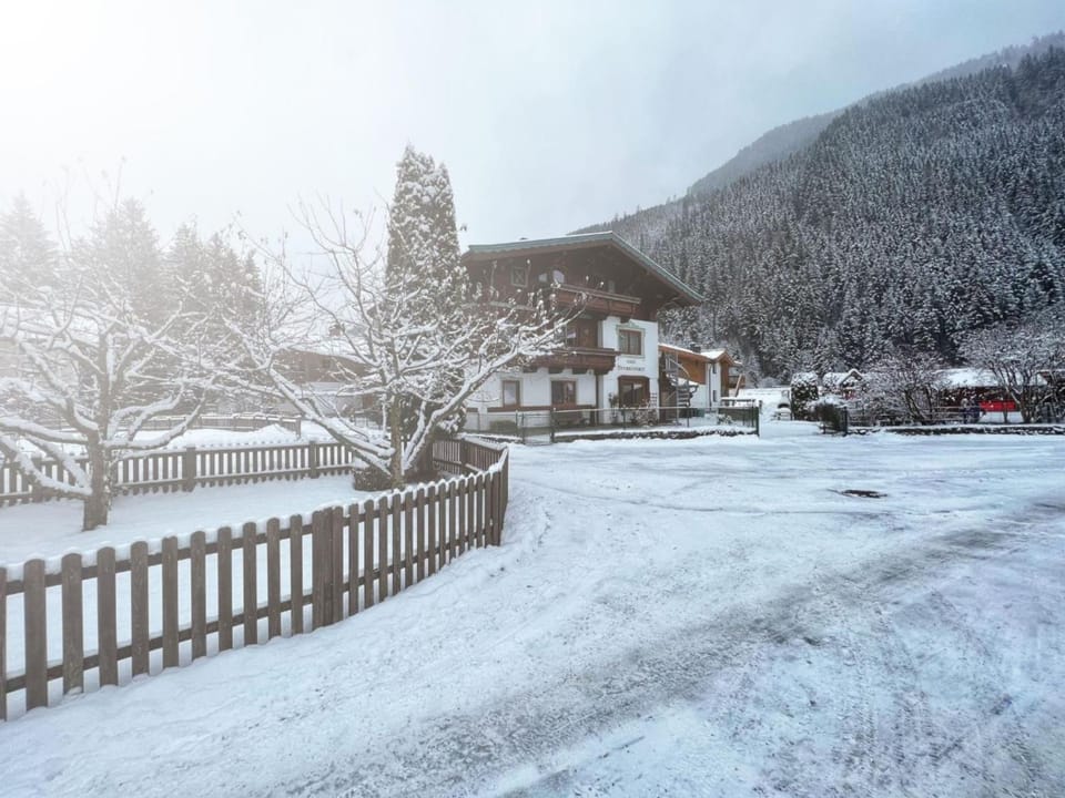 Property building, Winter