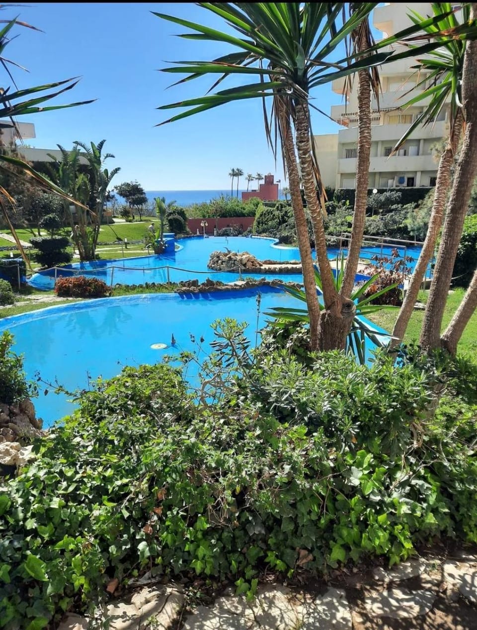 Garden view