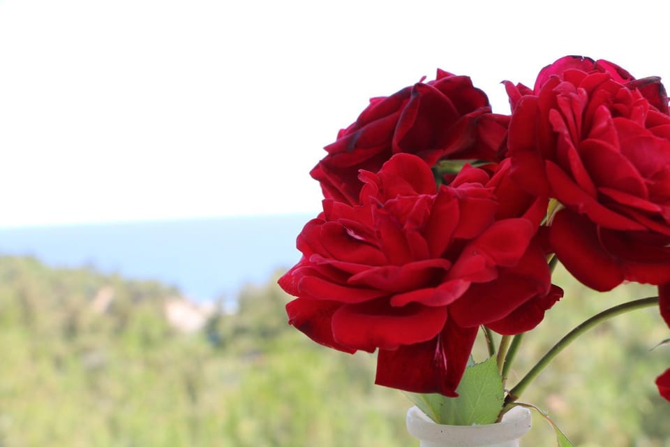 FANTASY GRAND VILLA THASSOS Apartment in Thasos