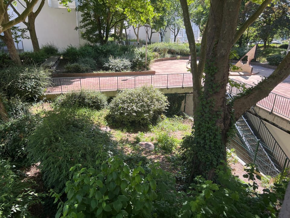 Garden view