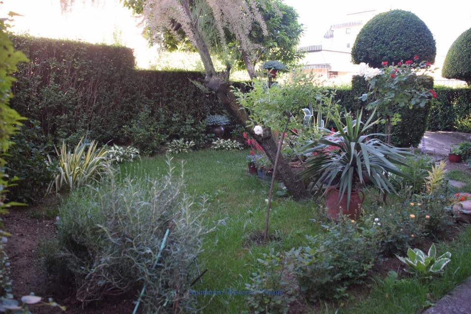 Inner courtyard view