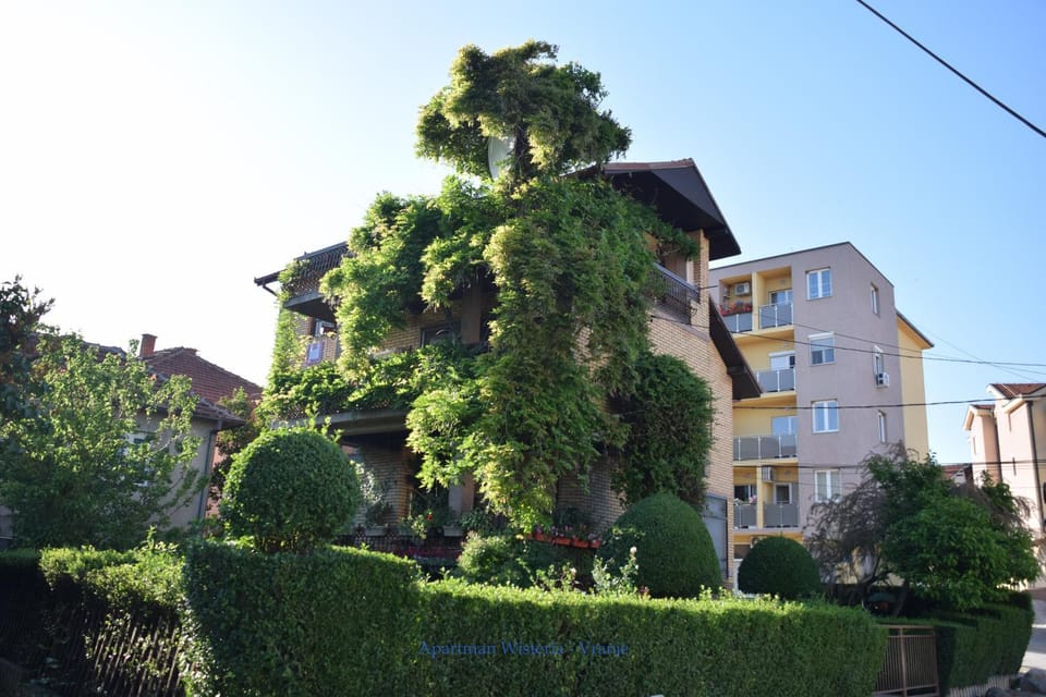 Property building, Neighbourhood, Garden
