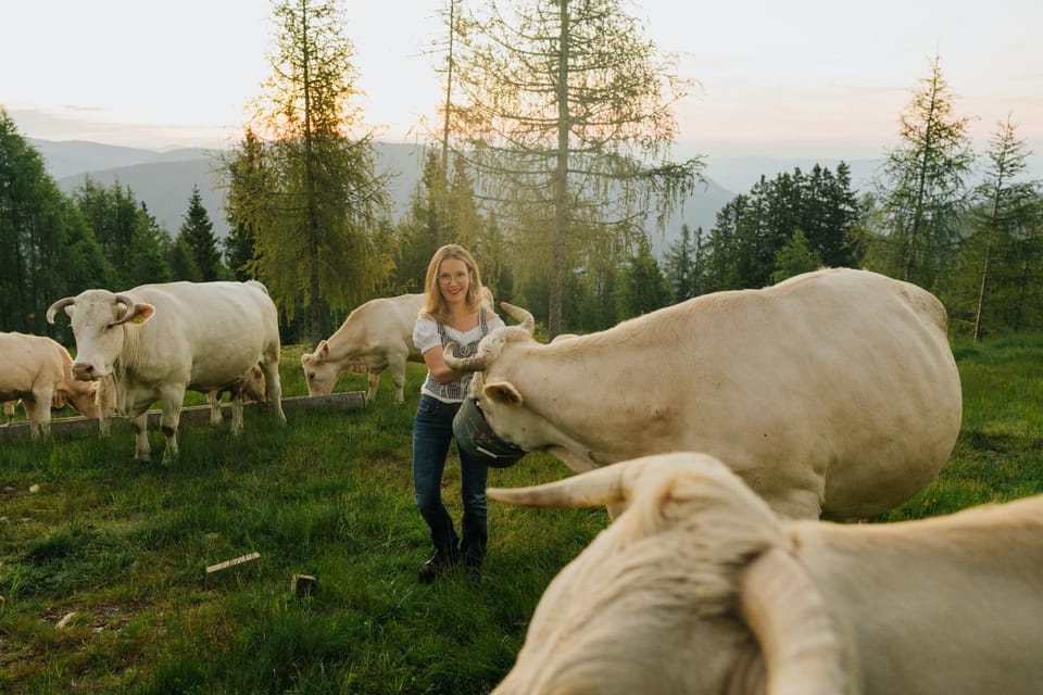 Day, Natural landscape, Animals