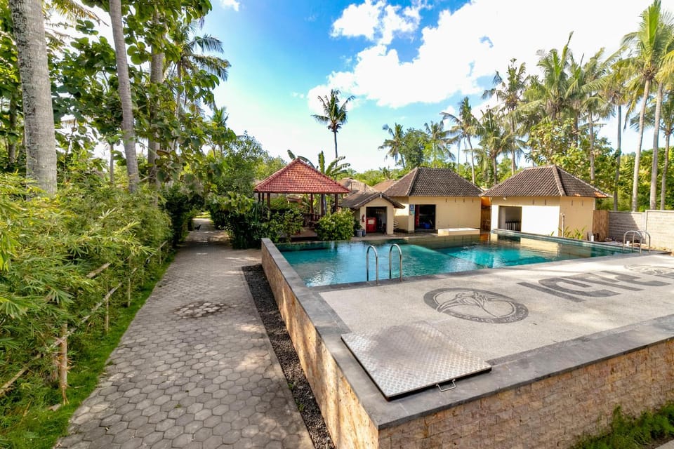 Day, Fitness centre/facilities, Diving, Diving, On site, Swimming pool, Swimming pool
