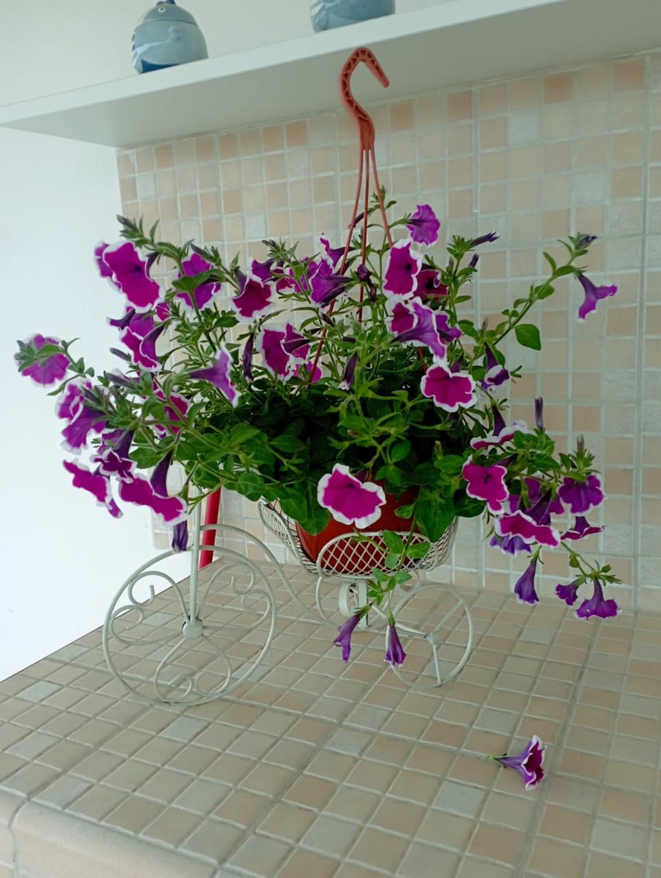 Casa bluchic Gioisia Apartment in Sicily