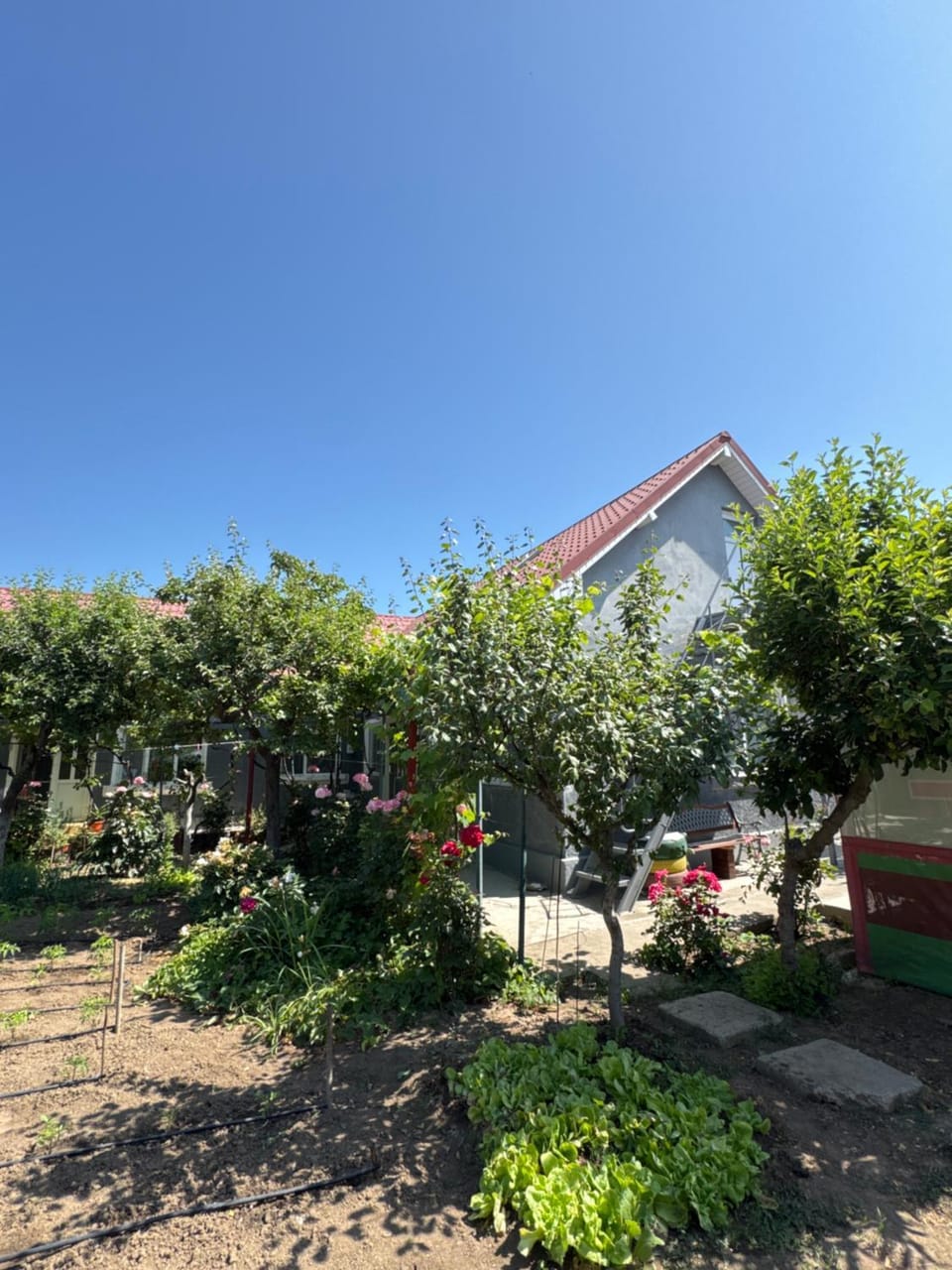 La Anica Bed and Breakfast in Dobrich Province, Bulgaria