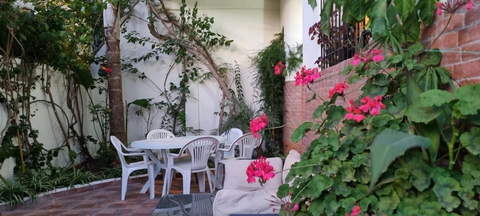 Garden view