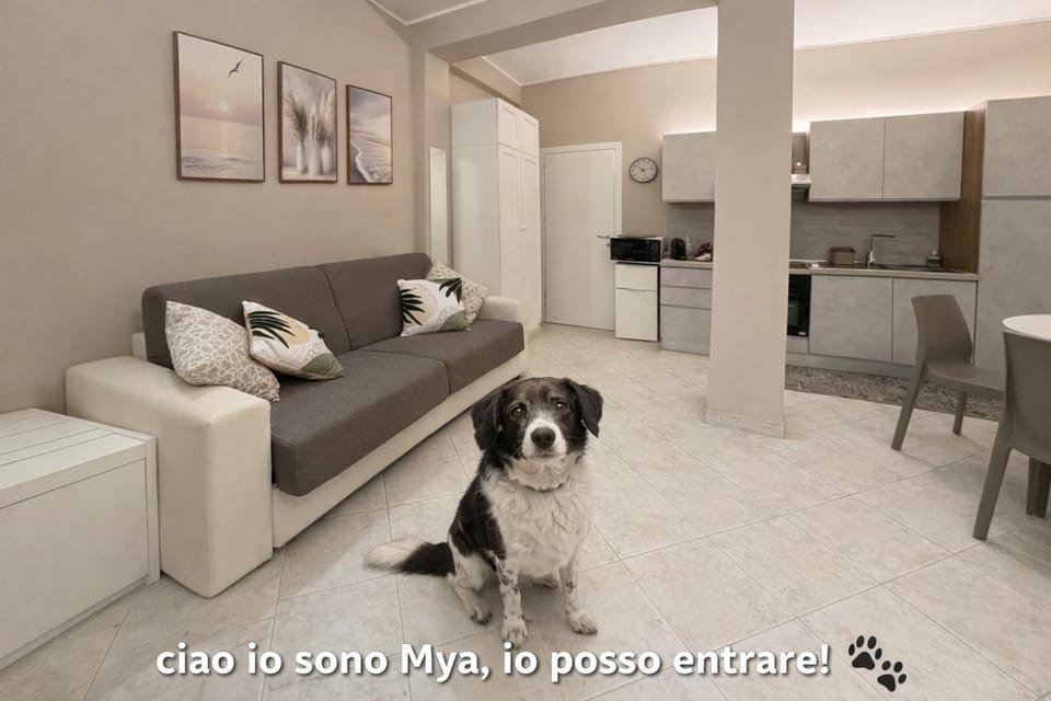 pet friendly, pet friendly