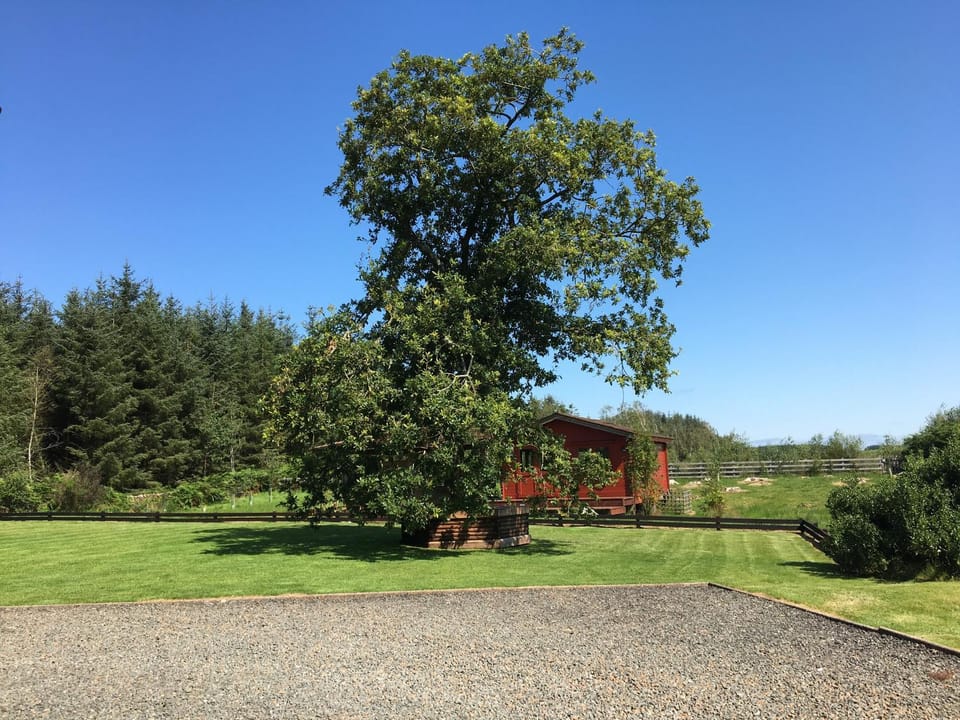 Garden, Garden view